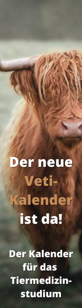 Veti-Kalender 2024/25