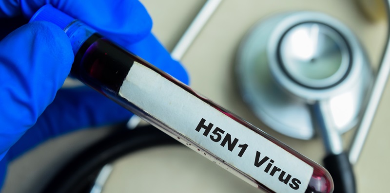 EU wappnet sich für möglichen H5N1-Ausbruch   